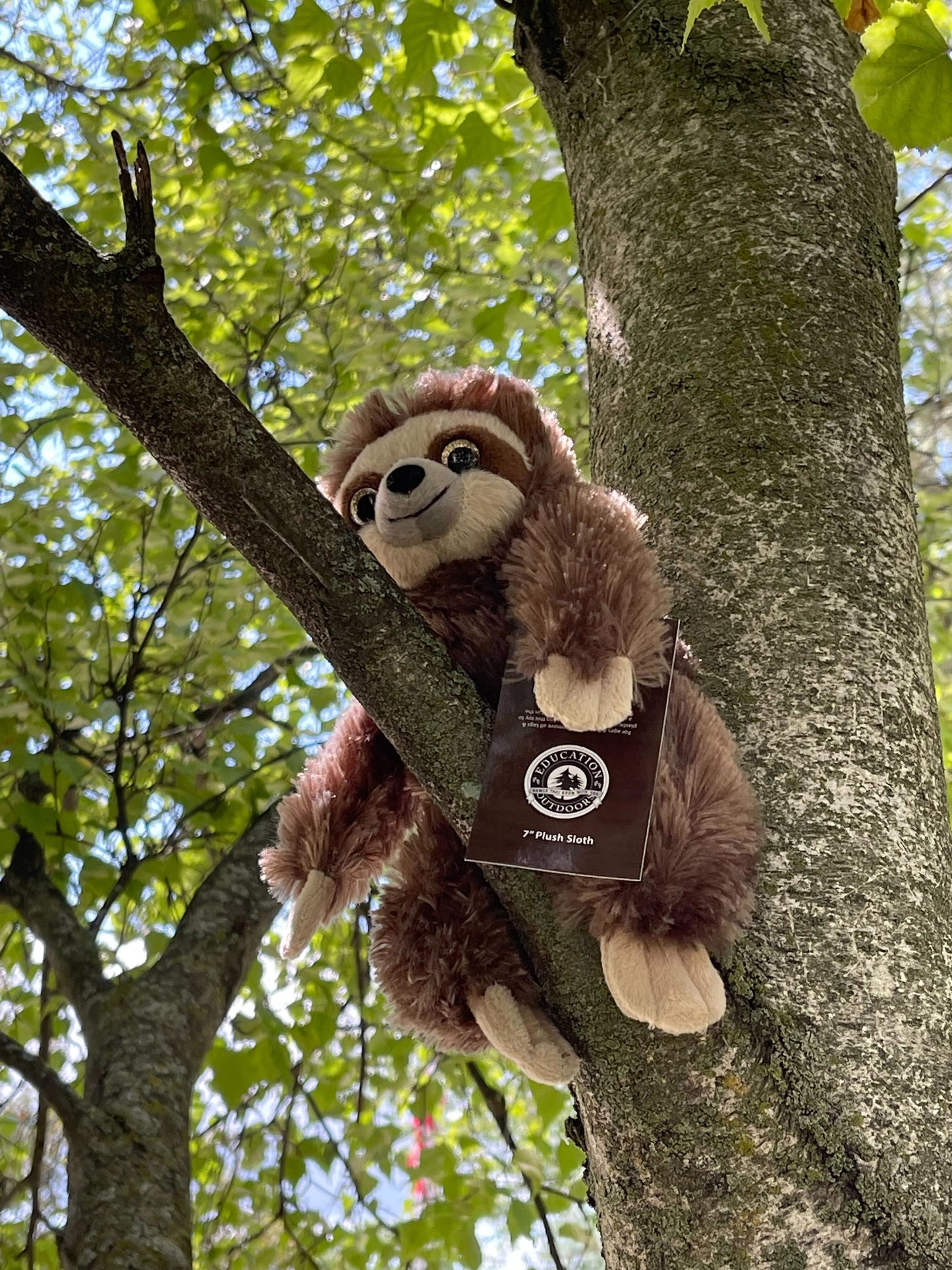 Sloth Plush