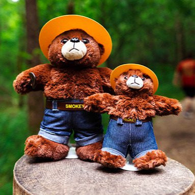 Smokey Bear™ Plush