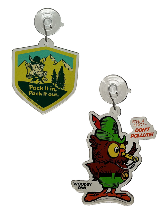 Woodsy Owl Suncatcher