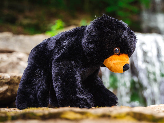 Black Bear Plush